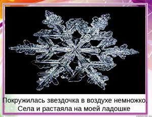 Конспект занятия по развитию речи в младшей группе. Заучивание стихотворения «Снежинка» М. Разиной